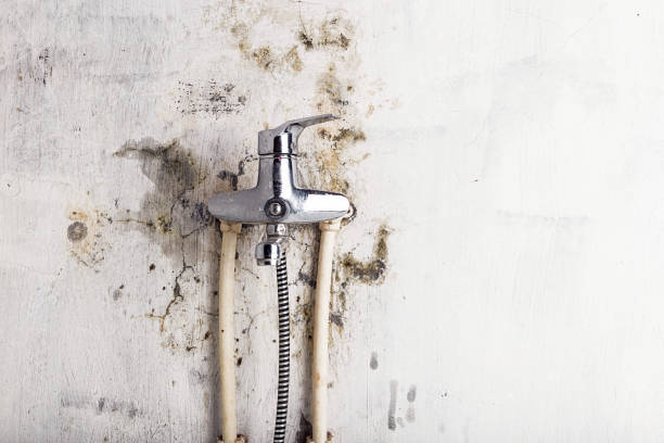 Best Office Mold Removal Services  in Point Marion, PA
