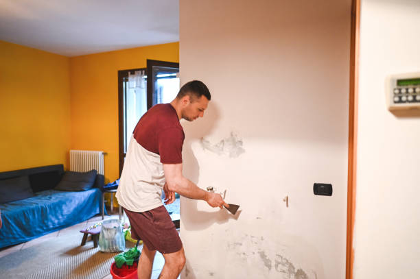Best Mold Testing  in Point Marion, PA